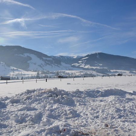 Chalet Nostalgie - Leogang By Z-K-H Rentals エクステリア 写真